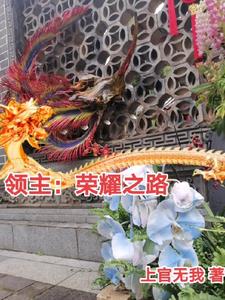 领主荣誉挑战奖励有哪些